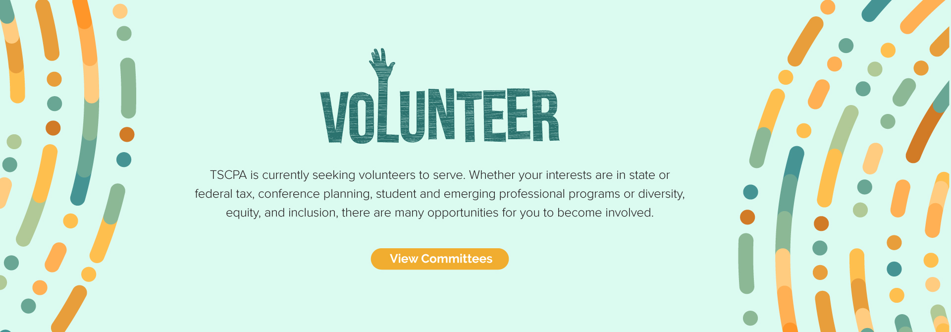Volunteer 2024